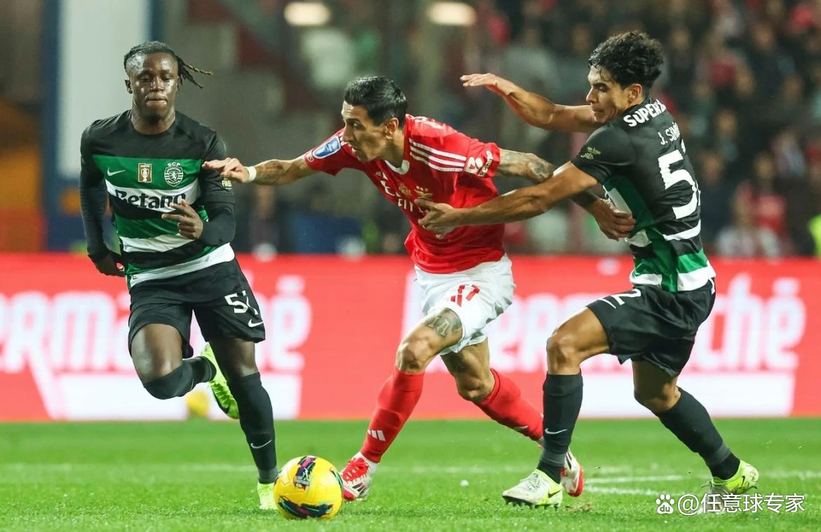 德约科维奇在雄鹿比赛中大比分领先本菲卡集结日再遭质疑，赛后葡萄牙体育调整名单以备葡超都惊呆了的简单介绍